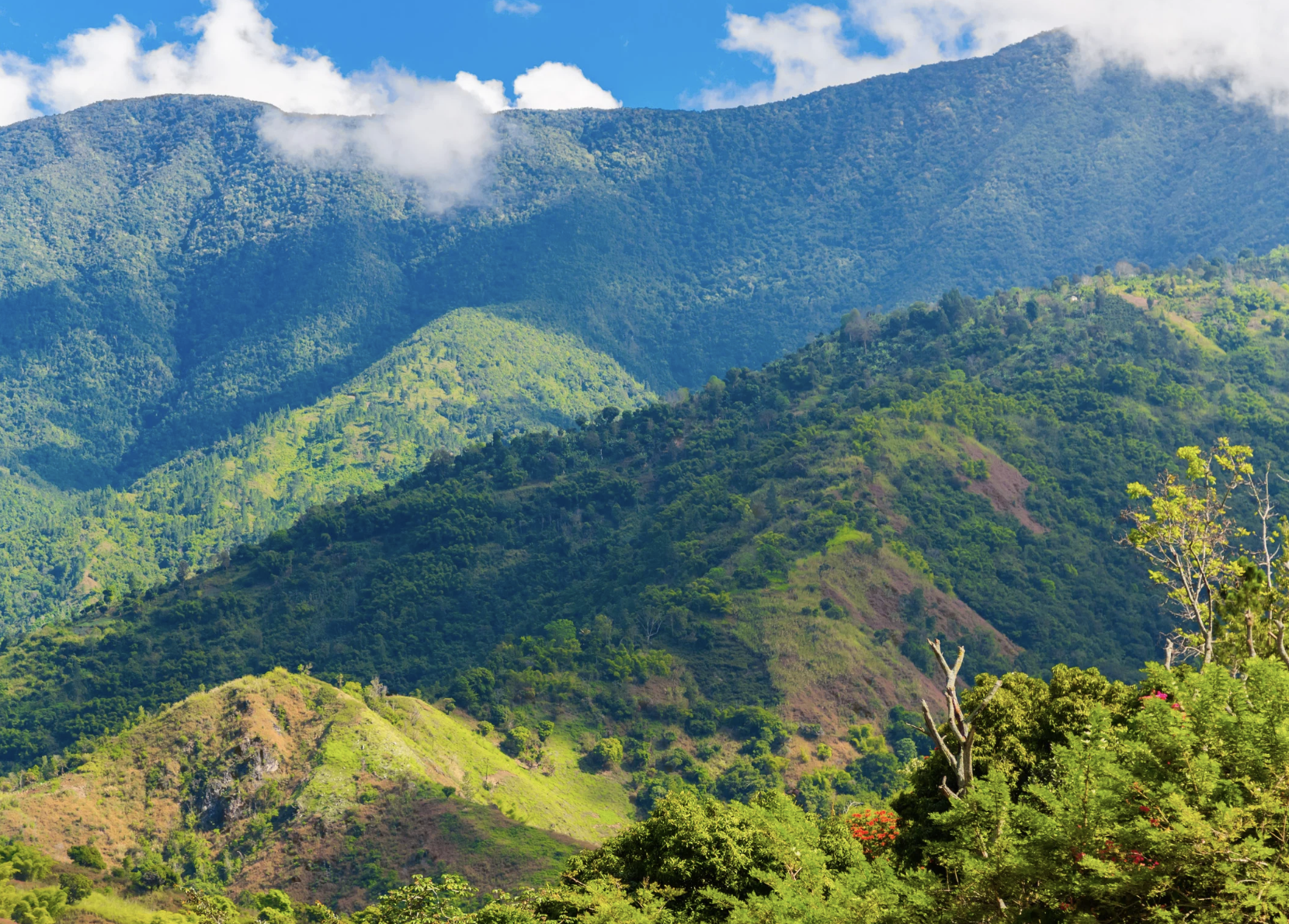 GCFFJamaica Mountains